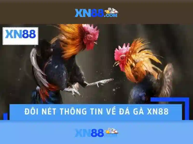xn88 slot login – Nguồn gốc từ khóa và sứ mệnh