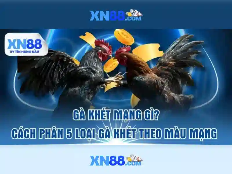 Danh tiếng và an toàn trên xn88