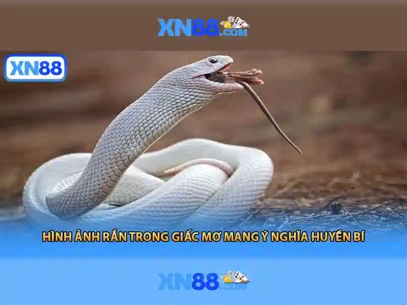 Tính năng nổi bật Tính năng nổi bật