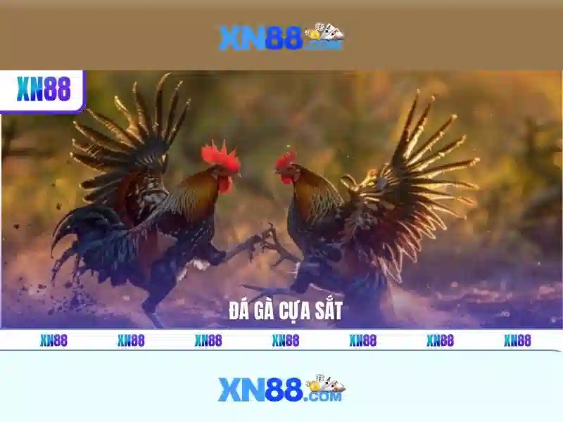 Giới thiệu về xn88\n<h2>Nền tảng và trò chơi</h2>\n<p>Người dùng có thể truy cập trên nhiều thiết bị và trình duyệt phổ biến. Thư viện trò chơi đa dạng gồm slot, Baccarat, Roulette, Blackjack và các tựa game máy đánh bạc hiện đại. Các trò chơi được kiểm định và cập nhật liên tục để đảm bảo công bằng và sự hấp dẫn.</p>\n<h2>An toàn và bảo mật</h2>\n<p>xn88 chú trọng bảo vệ dữ liệu người dùng, áp dụng mã hóa và các biện pháp phòng ngừa rủi ro. Người chơi được khuyến nghị xác thực hai yếu tố và tuân thủ các quy định pháp lý liên quan đến thanh toán và chơi cược.</p>\n<h2>Thanh toán và hỗ trợ khách hàng</h2>\n<p>Các phương thức thanh toán phổ biến được hỗ trợ với thời gian xử lý nhanh và phí giao dịch hợp lý. Đội ngũ hỗ trợ khách hàng làm việc 24/7, sẵn sàng giải đáp mọi thắc mắc và hỗ trợ kỹ thuật.</p>\n<h2>Kết luận</h2>\n<p>xn88 mang lại sự cân bằng giữa giải trí và an toàn, đồng thời khuyến khích người chơi thực hiện các hoạt động có trách nhiệm. Trước khi tham gia, hãy xem xét giới hạn bản thân và đọc điều khoản sử dụng của nền tảng.</p> Giới thiệu về xn88\n<h2>Nền tảng và trò chơi</h2>\n<p>Người dùng có thể truy cập trên nhiều thiết bị và trình duyệt phổ biến. Thư viện trò chơi đa dạng gồm slot, Baccarat, Roulette, Blackjack và các tựa game máy đánh bạc hiện đại. Các trò chơi được kiểm định và cập nhật liên tục để đảm bảo công bằng và sự hấp dẫn.</p>\n<h2>An toàn và bảo mật</h2>\n<p>xn88 chú trọng bảo vệ dữ liệu người dùng, áp dụng mã hóa và các biện pháp phòng ngừa rủi ro. Người chơi được khuyến nghị xác thực hai yếu tố và tuân thủ các quy định pháp lý liên quan đến thanh toán và chơi cược.</p>\n<h2>Thanh toán và hỗ trợ khách hàng</h2>\n<p>Các phương thức thanh toán phổ biến được hỗ trợ với thời gian xử lý nhanh và phí giao dịch hợp lý. Đội ngũ hỗ trợ khách hàng làm việc 24/7, sẵn sàng giải đáp mọi thắc mắc và hỗ trợ kỹ thuật.</p>\n<h2>Kết luận</h2>\n<p>xn88 mang lại sự cân bằng giữa giải trí và an toàn, đồng thời khuyến khích người chơi thực hiện các hoạt động có trách nhiệm. Trước khi tham gia, hãy xem xét giới hạn bản thân và đọc điều khoản sử dụng của nền tảng.</p>