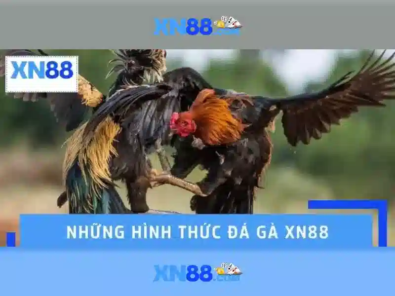 XN88: Nền tảng game trực tuyến đáng tin cậy 1 Đăng Nhập