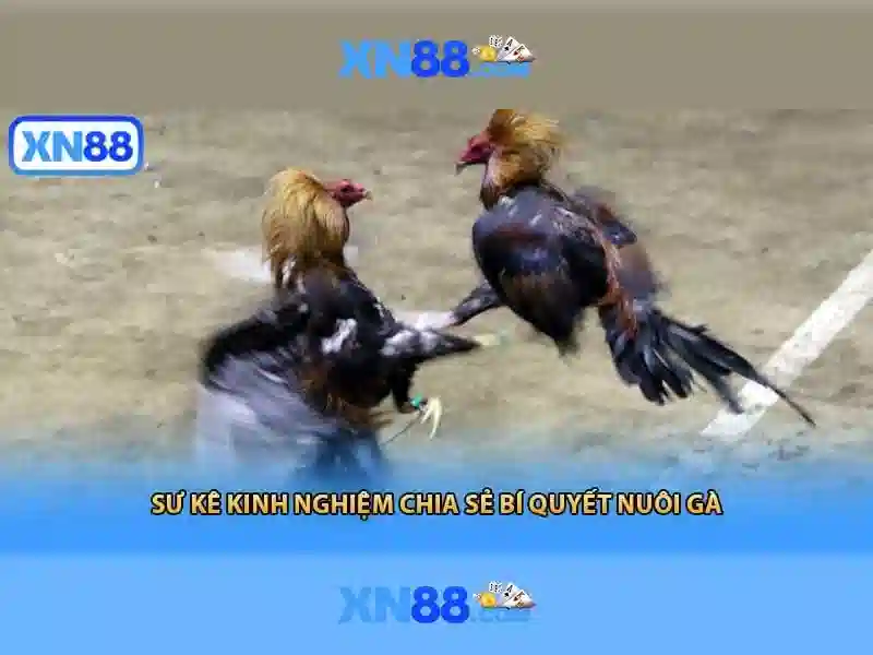 xn88 slot login – Trải nghiệm nền tảng đỉnh cao Go88