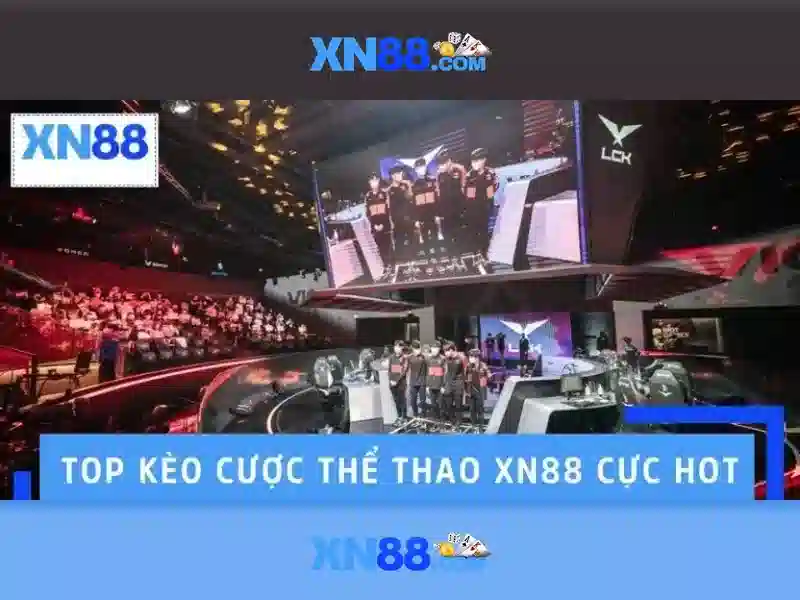 Các dịch vụ chính của xn88
