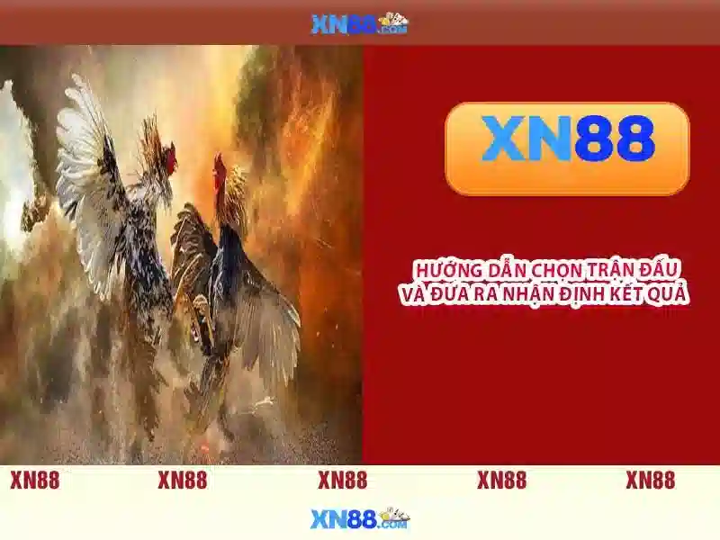 Các dịch vụ và chức năng của xn88 Các dịch vụ và chức năng của xn88