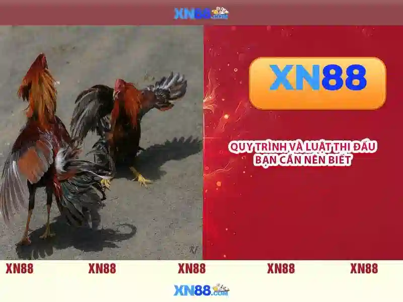 xn88: Giới thiệu và tổng quan về nền tảng game trực tuyến Go88