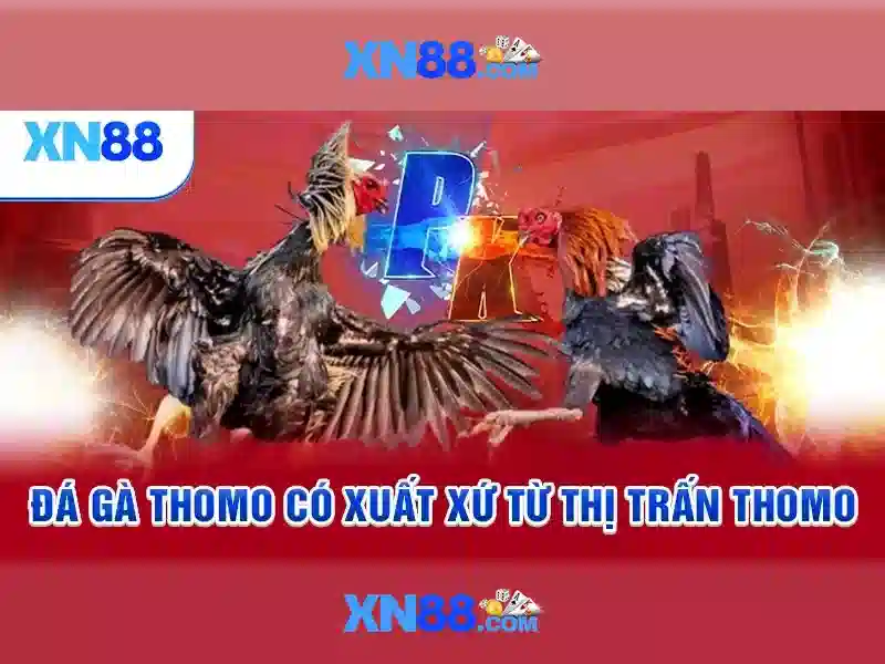 Cách thức vận hành và mô hình doanh thu Cách thức vận hành và mô hình doanh thu