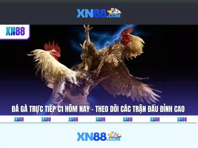 An toàn và mẹo quản lý túi tiền\n\n<p>Kết luận: xn88 có thể mang lại trải nghiệm giải trí và cơ hội thắng thưởng, nhưng người chơi cần thận trọng và tuân thủ các quy định. Chọn nguồn tin độc lập và chơi có trách nhiệm.</p>\n\n<p>Thông điệp cuối cùng: hãy xác minh tính hợp pháp của nền tảng, bảo vệ thông tin cá nhân và tận hưởng trò chơi một cách có trách nhiệm.</p> An toàn và mẹo quản lý túi tiền\n\n<p>Kết luận: xn88 có thể mang lại trải nghiệm giải trí và cơ hội thắng thưởng, nhưng người chơi cần thận trọng và tuân thủ các quy định. Chọn nguồn tin độc lập và chơi có trách nhiệm.</p>\n\n<p>Thông điệp cuối cùng: hãy xác minh tính hợp pháp của nền tảng, bảo vệ thông tin cá nhân và tận hưởng trò chơi một cách có trách nhiệm.</p>