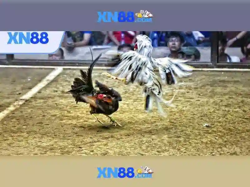 Nền tảng giải trí và danh mục trò chơi\n<h> An toàn và công bằng </h>\n<p> An toàn dữ liệu và quyền riêng tư là ưu tiên hàng đầu, với các biện pháp mã hóa và tuân thủ các chuẩn bảo vệ người dùng. Các trò chơi thường được cấp phép và sử dụng RNG để đảm bảo tính công bằng. Người dùng được khuyến khích thiết lập xác thực hai yếu tố và quản lý rủi ro cá nhân khi tham gia, nhằm duy trì trải nghiệm có trách nhiệm. </p>\n<h> Hỗ trợ và cộng đồng người dùng </h>\n<p> Nền tảng có hệ thống hỗ trợ khách hàng 24/7, kênh phản hồi nhanh và cơ chế giải quyết khiếu nại rõ ràng. Cộng đồng người chơi và các đánh giá từ người dùng cũ có thể giúp người mới có cái nhìn tổng quan về trải nghiệm và chất lượng dịch vụ. </p>\n<h> Tương lai của xn88 </h>\n<p> Với tiến bộ công nghệ và mở rộng đối tác, xn88 hướng tới cung cấp thêm các tính năng tùy biến, cải thiện bảo mật và mở rộng danh mục trò chơi để phục vụ người dùng ở nhiều thị trường với tiêu chuẩn cao nhất về chất lượng và an toàn. </p> Nền tảng giải trí và danh mục trò chơi\n<h> An toàn và công bằng </h>\n<p> An toàn dữ liệu và quyền riêng tư là ưu tiên hàng đầu, với các biện pháp mã hóa và tuân thủ các chuẩn bảo vệ người dùng. Các trò chơi thường được cấp phép và sử dụng RNG để đảm bảo tính công bằng. Người dùng được khuyến khích thiết lập xác thực hai yếu tố và quản lý rủi ro cá nhân khi tham gia, nhằm duy trì trải nghiệm có trách nhiệm. </p>\n<h> Hỗ trợ và cộng đồng người dùng </h>\n<p> Nền tảng có hệ thống hỗ trợ khách hàng 24/7, kênh phản hồi nhanh và cơ chế giải quyết khiếu nại rõ ràng. Cộng đồng người chơi và các đánh giá từ người dùng cũ có thể giúp người mới có cái nhìn tổng quan về trải nghiệm và chất lượng dịch vụ. </p>\n<h> Tương lai của xn88 </h>\n<p> Với tiến bộ công nghệ và mở rộng đối tác, xn88 hướng tới cung cấp thêm các tính năng tùy biến, cải thiện bảo mật và mở rộng danh mục trò chơi để phục vụ người dùng ở nhiều thị trường với tiêu chuẩn cao nhất về chất lượng và an toàn. </p>