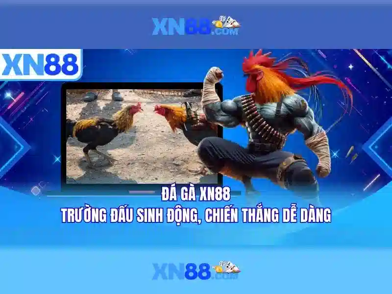 Giới thiệu về XN88 Giới thiệu về XN88