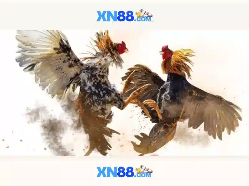 xn88: Đánh giá và hướng dẫn sử dụng nền tảng đánh bạc trực tuyến 1 Đăng Nhập