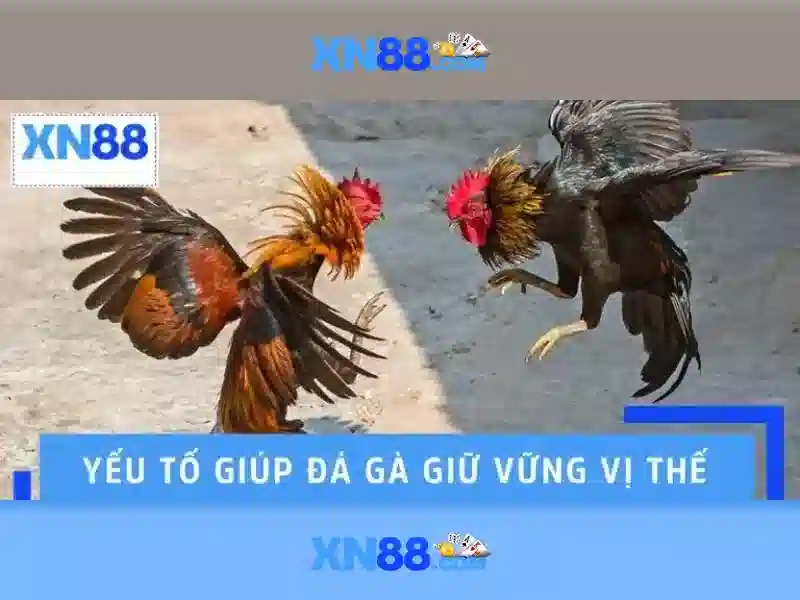 Khuyến mãi và trò chơi nổi bật\n\n<h>Hỗ trợ khách hàng</h>\n<p>Đội ngũ hỗ trợ trực tuyến của xn88 sẵn sàng 24/7, trả lời nhanh các thắc mắc và hỗ trợ kỹ thuật. Bạn có thể liên hệ qua chat, email hoặc số điện thoại được hiển thị trên trang web.</p>