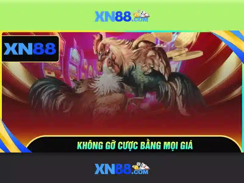 An toàn và trách nhiệm khi chơi xn88<p>Người chơi nên thiết lập giới hạn chi tiêu, nhận diện tài khoản và tuân thủ các quy định địa phương. Nền tảng thường kiểm tra và giám sát hoạt động nhằm đảm bảo công bằng và ngăn chặn hành vi phi pháp.</p><h>Hướng dẫn đăng ký và bắt đầu</h><p>Quy trình đăng ký đơn giản, bạn cần cung cấp thông tin chính xác, xác thực tài khoản và nạp tiền bằng các phương thức phổ biến. Sau khi xác thực, bạn có thể chọn trò chơi và tham gia ngay với môi trường an toàn.</p><h>Kinh nghiệm người dùng và đánh giá tổng quan</h><p>Nhiều người dùng đánh giá xn88 cao về tốc độ nạp/rút tiền và hỗ trợ khách hàng. Tuy nhiên, như bất kỳ nền tảng cá cược nào khác, người chơi nên cân nhắc rủi ro và chơi có cân nhắc.</p>