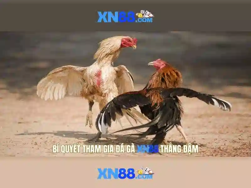 An toàn và thanh toán tại xn88