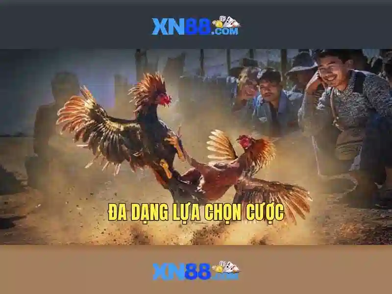 Cac tinh nang noi bat cua xn88 Cac tinh nang noi bat cua xn88