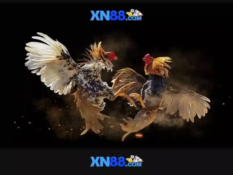 Khả năng an toàn và đáng tin cậy Khả năng an toàn và đáng tin cậy