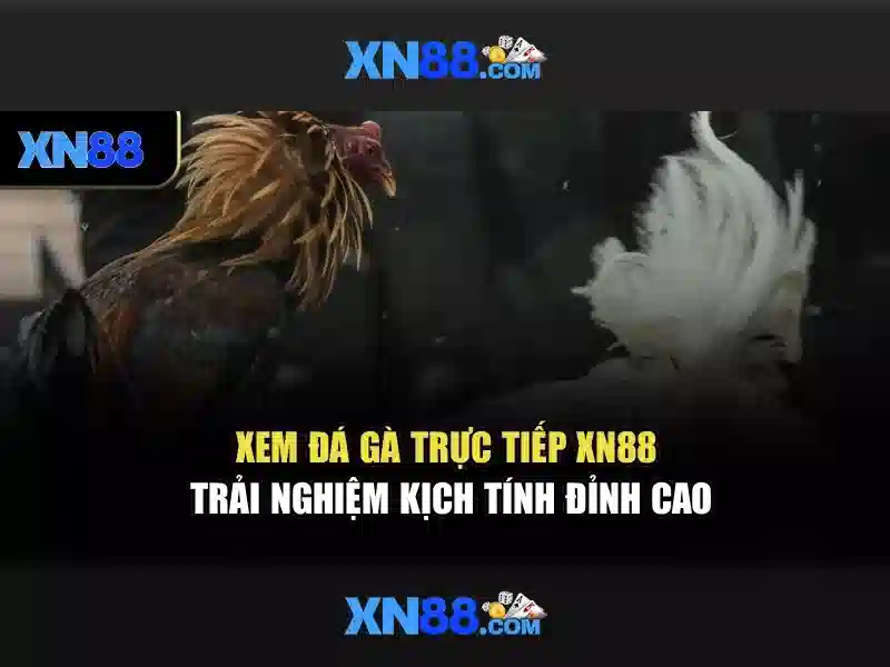 Khả năng thanh toán và hỗ trợ khách hàng