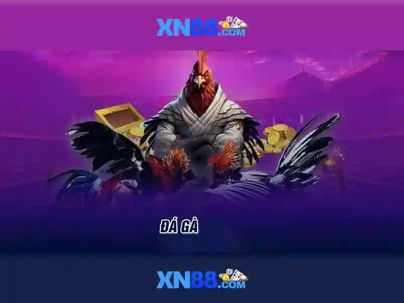 Dịch vụ và ưu đãi\n<h>Tầm quan trọng của tính minh bạch</h>\n<p>Đối với người chơi, minh bạch về điều khoản, tỷ lệ cược và các hành động của nền tảng là yếu tố then chốt. xn88 công bố các điều khoản, điều kiện và cơ chế giải quyết tranh chấp công bằng.</p>\n<h>Kết luận về xn88</h>\n<p>Tóm lại, xn88 là một nền tảng đa dạng với cam kết về an toàn, trải nghiệm người dùng và dịch vụ khách hàng. Việc tìm hiểu đầy đủ trước khi tham gia giúp người chơi tận hưởng trò chơi một cách có trách nhiệm.</p> Dịch vụ và ưu đãi\n<h>Tầm quan trọng của tính minh bạch</h>\n<p>Đối với người chơi, minh bạch về điều khoản, tỷ lệ cược và các hành động của nền tảng là yếu tố then chốt. xn88 công bố các điều khoản, điều kiện và cơ chế giải quyết tranh chấp công bằng.</p>\n<h>Kết luận về xn88</h>\n<p>Tóm lại, xn88 là một nền tảng đa dạng với cam kết về an toàn, trải nghiệm người dùng và dịch vụ khách hàng. Việc tìm hiểu đầy đủ trước khi tham gia giúp người chơi tận hưởng trò chơi một cách có trách nhiệm.</p>