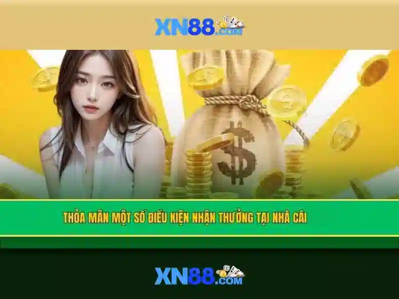 Trải nghiệm người dùng và hỗ trợ