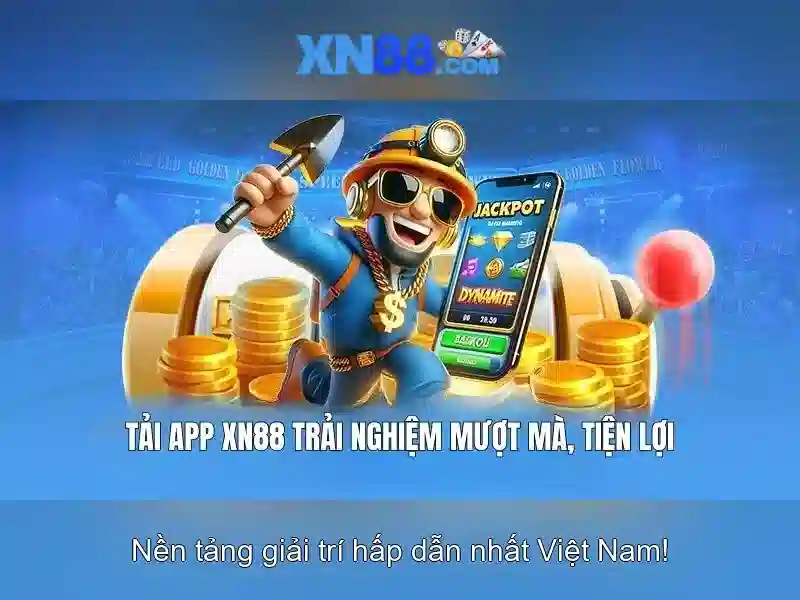 Hình minh họa tổng quan xn88-mobi và người dùng