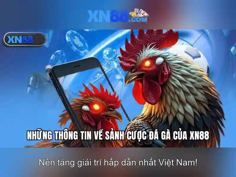 Tổng quan về xn88: Nền tảng giải trí trực tuyến hàng đầu Go88