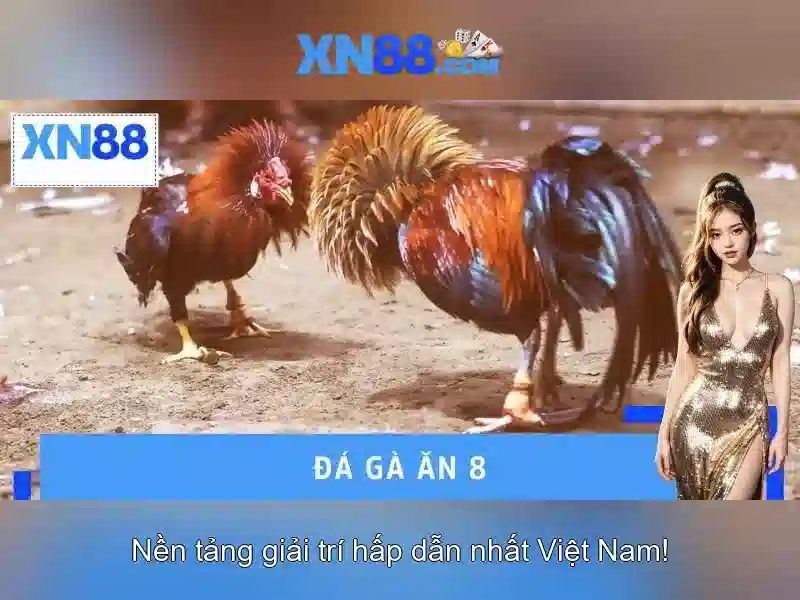 Đăng Nhập