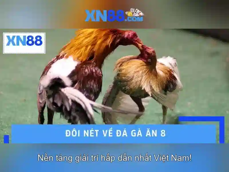 xn88: Nền tảng giải trí trực tuyến và những điều bạn cần biết Soi kèo hiệp 1