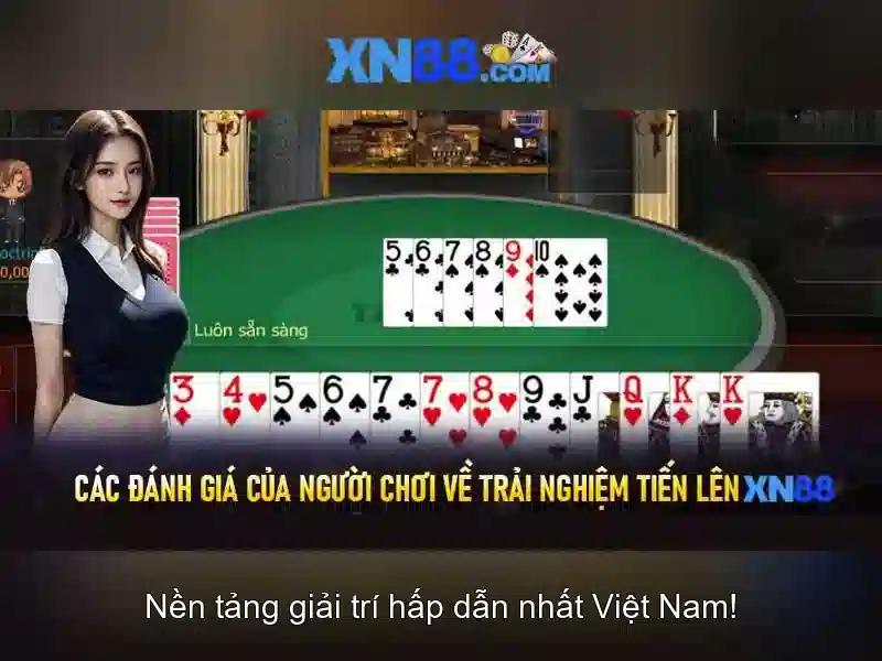 An toàn, pháp lý và trách nhiệm người chơi