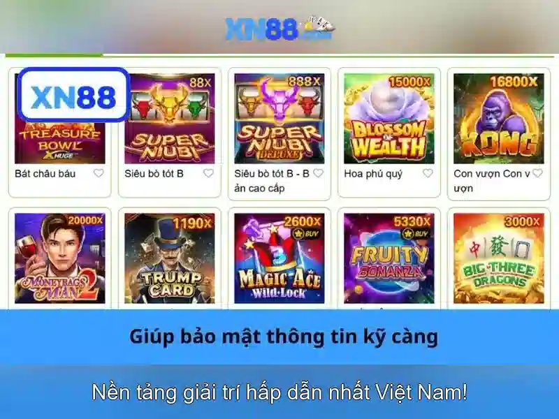 Giới thiệu về xn88