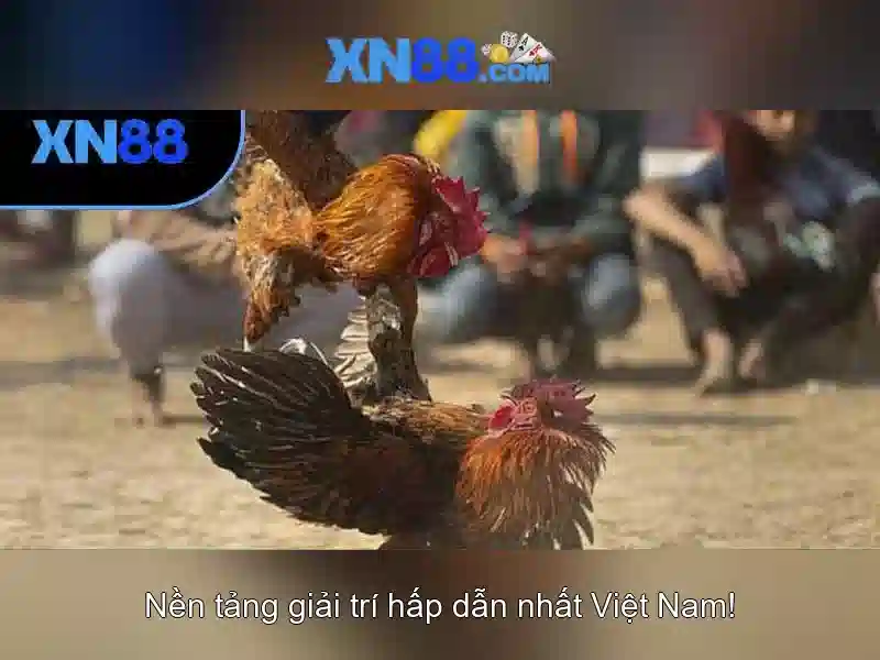 An toàn và trách nhiệm khi tham gia xn88\n<h3>Lời khuyên cho người chơi mới</h3>\n<p>Để bắt đầu, hãy xác định ngân sách, hiểu điều kiện trò chơi và tận dụng các công cụ hỗ trợ của nền tảng. Thực hành trên chế độ thử nghiệm trước khi chơi bằng tiền thật có thể giảm thiểu rủi ro và tăng trải nghiệm.</p>\n<h2>Kết luận</h2>\n<p>xn88 mang lại một lựa chọn đa dạng cho người yêu thích cược trực tuyến, với sự cân bằng giữa tính giải trí và an toàn. Người chơi nên tiếp cận nền tảng một cách có trách nhiệm và tận dụng các tính năng hỗ trợ để tối ưu trải nghiệm.</p>