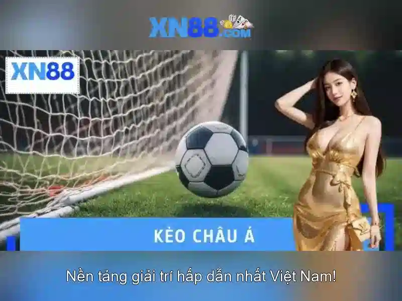 XN88: Tổng quan và hướng dẫn cơ bản Go88