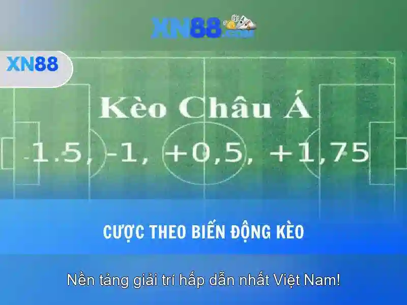 Xn88: Giới thiệu tổng quan và ảnh hưởng trong cộng đồng trực tuyến Go88