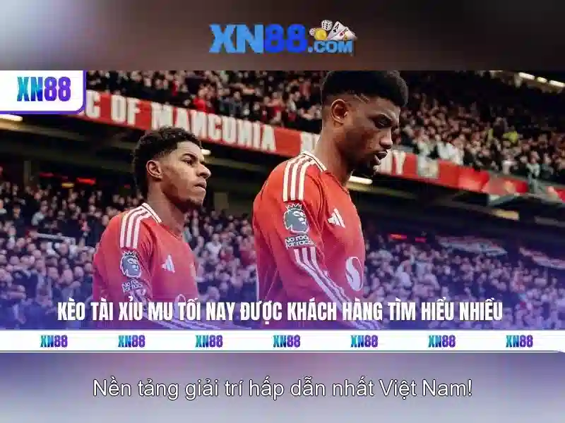 Đặc điểm nổi bật Đặc điểm nổi bật