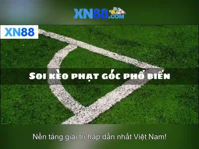 XN88 là gì? XN88 là gì?