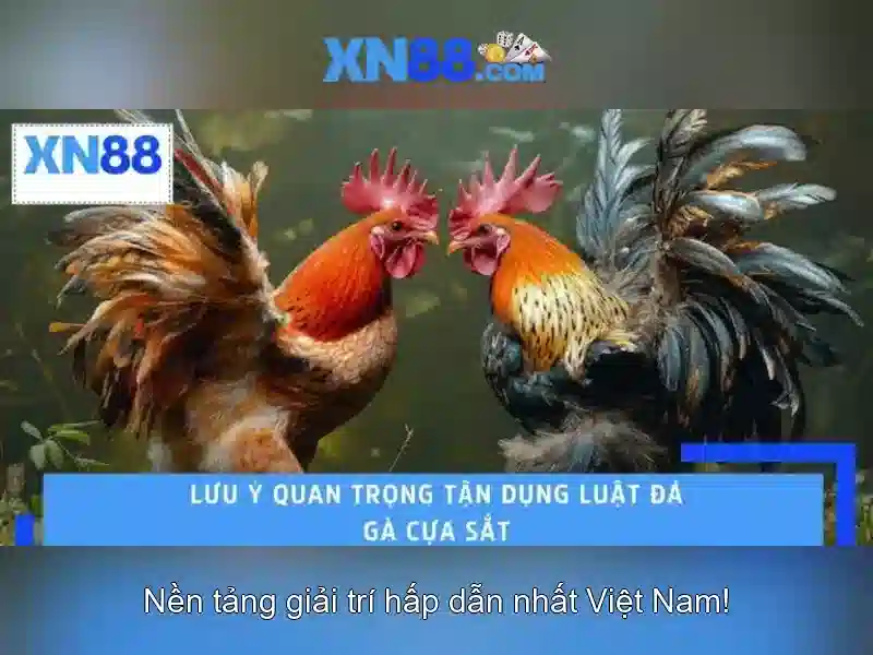 Chăm sóc khách hàng và dịch vụ\n<h2>Kết luận và triển vọng</h2>\n<p>xn88 tiếp tục mở rộng danh mục trò chơi, cải tiến trải nghiệm người dùng và tăng cường các chương trình khuyến mãi hợp lý. Với cam kết an toàn, công bằng và hỗ trợ người chơi, xn88 hứa hẹn sẽ là một lựa chọn phổ biến cho cộng đồng cược trực tuyến tại Việt Nam trong tương lai.</p>