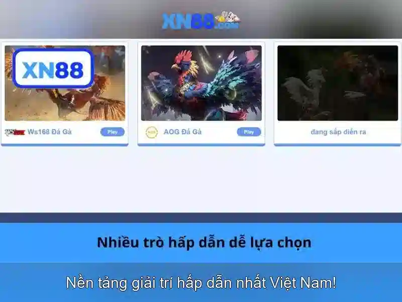 Tính năng nổi bật\n<h>Hướng dẫn sử dụng căn bản</h>\n<p>Để bắt đầu, người dùng cần đăng ký tài khoản, xác thực và thiết lập bảo mật như xác thực hai yếu tố (2FA). Sau khi đăng nhập, có thể khám phá các phần chức năng và cá nhân hóa trải nghiệm.</p>\n\n<h>An toàn và quản lý rủi ro</h>\n<p> xn88 áp dụng nhiều biện pháp bảo mật và tuân thủ chuẩn bảo vệ dữ liệu. Người dùng nên giữ bí mật thông tin đăng nhập và thường xuyên cập nhật mật khẩu.</p> Tính năng nổi bật\n<h>Hướng dẫn sử dụng căn bản</h>\n<p>Để bắt đầu, người dùng cần đăng ký tài khoản, xác thực và thiết lập bảo mật như xác thực hai yếu tố (2FA). Sau khi đăng nhập, có thể khám phá các phần chức năng và cá nhân hóa trải nghiệm.</p>\n\n<h>An toàn và quản lý rủi ro</h>\n<p> xn88 áp dụng nhiều biện pháp bảo mật và tuân thủ chuẩn bảo vệ dữ liệu. Người dùng nên giữ bí mật thông tin đăng nhập và thường xuyên cập nhật mật khẩu.</p>