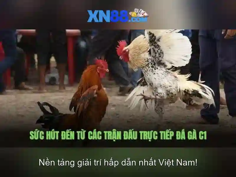 Lịch sử và uy tín\n<h2>Công cụ và tính năng</h2>\n<p>Người chơi có thể tiếp cận nhiều công cụ hỗ trợ, từ bảng xếp hạng, hệ thống khuyến mãi đến các phiên bản trò chơi đa nền tảng. Nền tảng tối ưu cho cả di động và máy tính để bàn, mang lại trải nghiệm mượt mà ở mọi thiết bị.</p>\n<h3>An toàn và bảo mật</h3>\n<p>xn88 áp dụng các biện pháp bảo mật hiện đại như mã hóa dữ liệu, xác thực hai yếu tố và giám sát giao dịch 24/7 để bảo vệ thông tin người dùng và giao dịch tài chính. Chính sách riêng tư được công khai và tuân thủ các quy định liên quan.</p>\n<h2>Trải nghiệm người dùng</h2>\n<p>Người dùng có thể tận hưởng giao diện trực quan, tìm kiếm nhanh, và hỗ trợ khách hàng 24/7. Các trò chơi được phân loại rõ ràng, giúp người chơi tìm thấy thể loại yêu thích một cách dễ dàng và an toàn.</p>