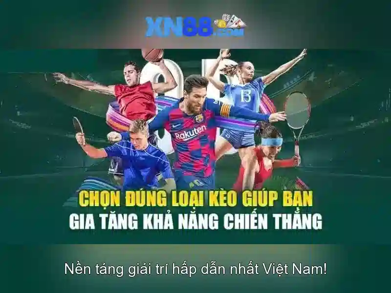 Hướng dẫn bắt đầu và lưu ý pháp lý