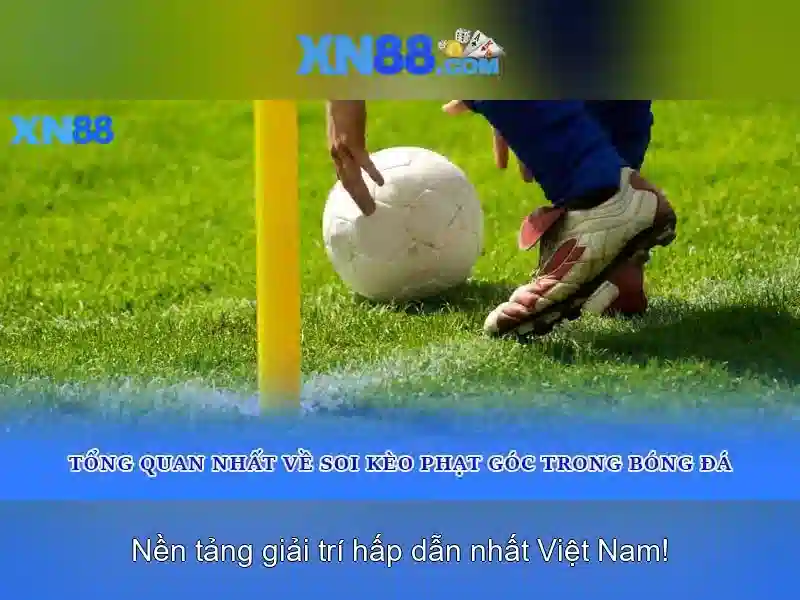 Các sản phẩm và trò chơi Các sản phẩm và trò chơi