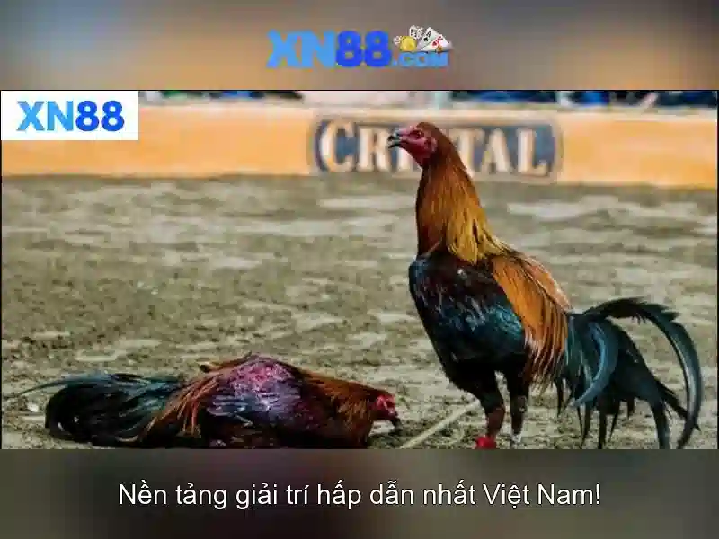 Đăng Nhập