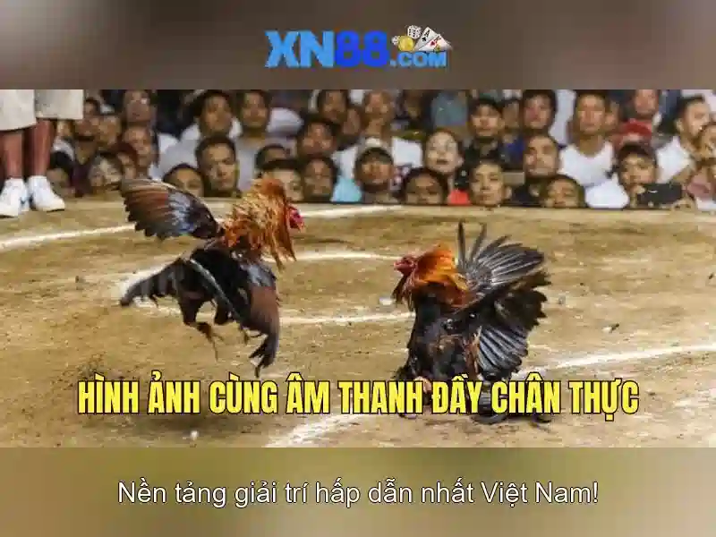 Cách tham gia và nạp tiền trên xn88