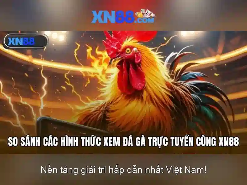Tổng quan về xn88 bet