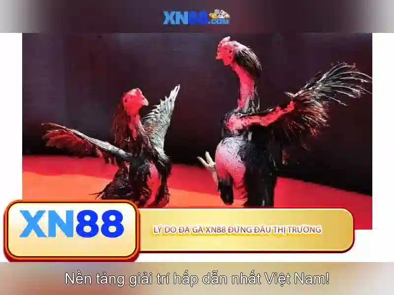 Xn88 là gì và những điều cần biết Go88