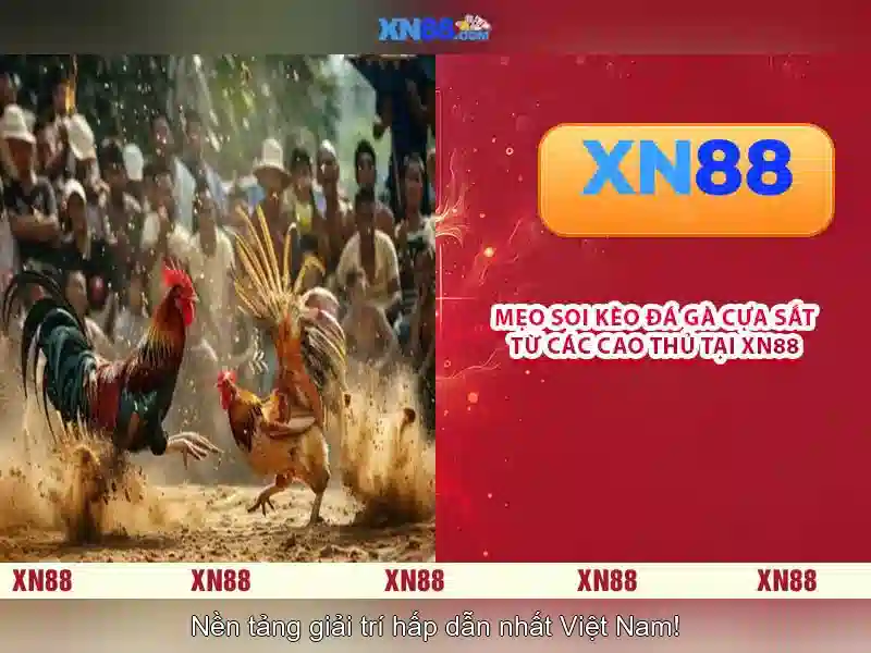 xn88 — Nền tảng giải trí trực tuyến an toàn và đa dạng Go88