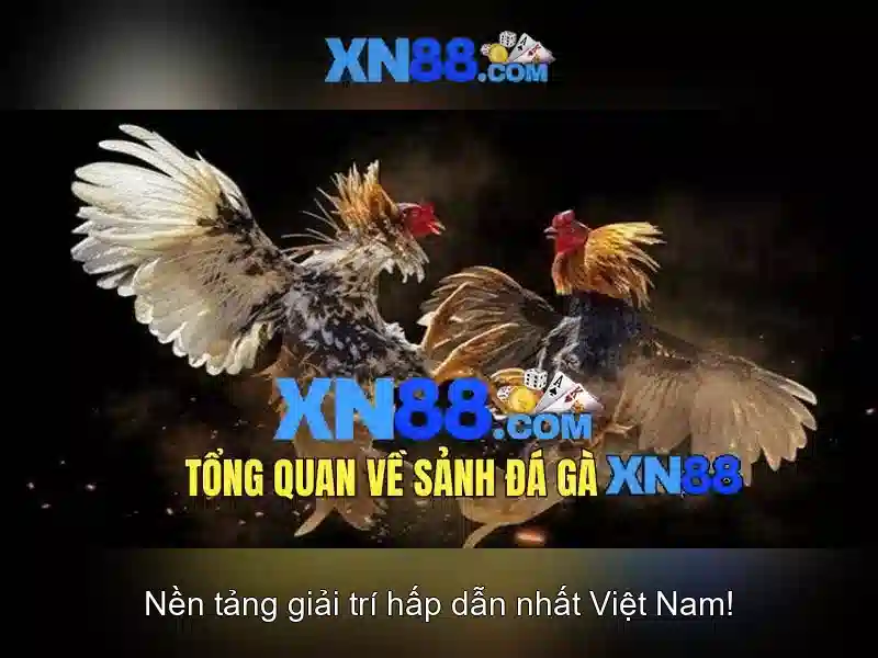 Trải nghiệm người dùng và giao diện