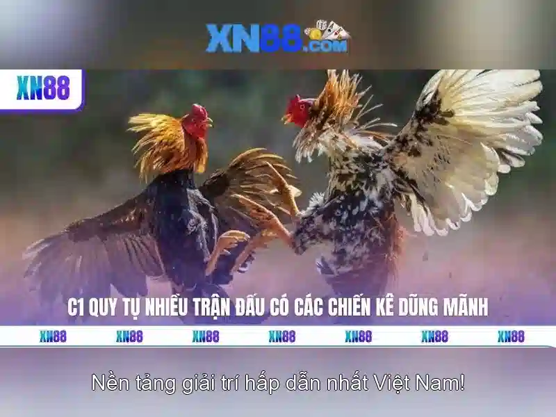 Hệ thống thanh toán và bảo mật