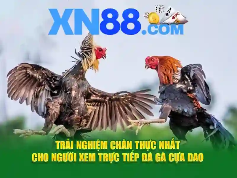 Đăng Nhập
